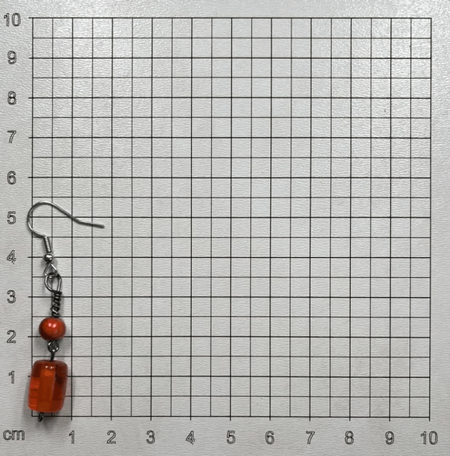Boucles d'oreilles (10430)