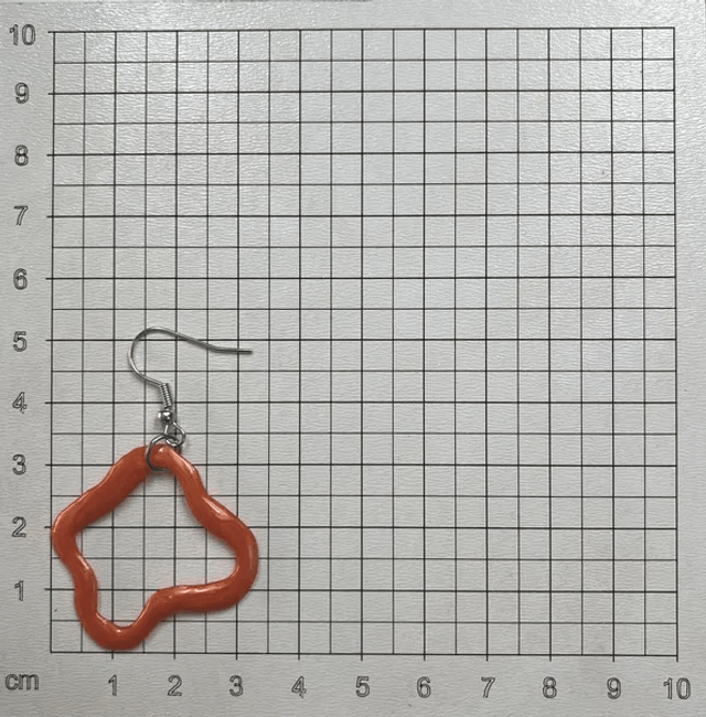 Boucles d'oreilles (10160)
