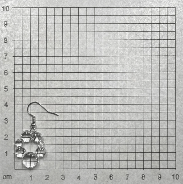 Boucles d'oreilles (10110)